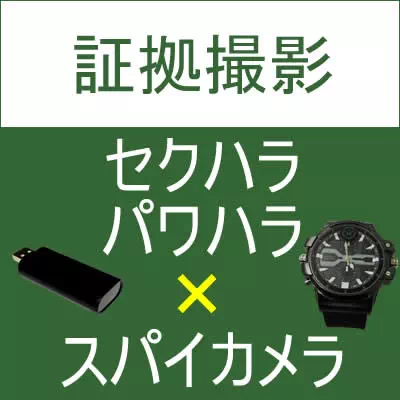 盗撮カメラ発見器 -ワイヤレスカメラハンター WCH-100XP-【コニー】